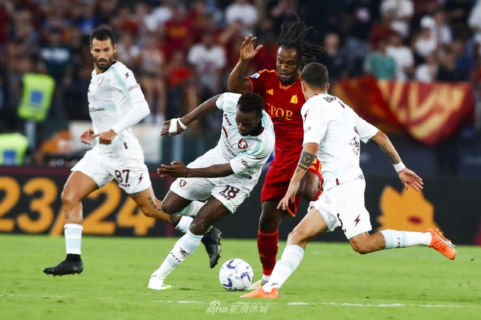 浙江队着重 浙江队着重