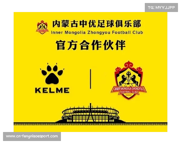 足球俱乐部引援资金投入分析及其对球队竞争力的影响